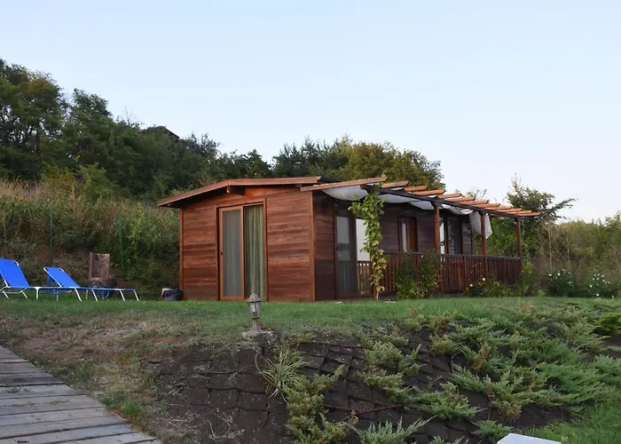 Viridi * Σωζόπολη