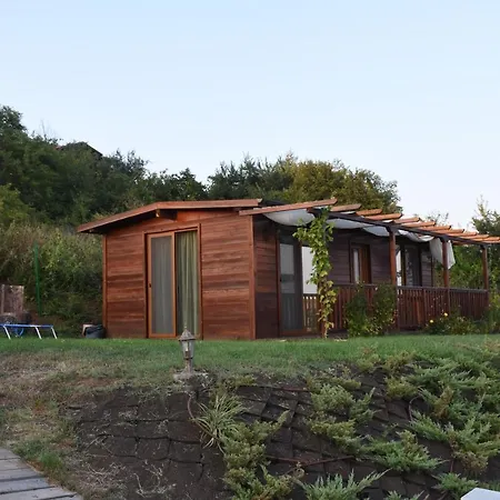 Viridi * Созополь